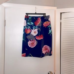 Banana Republic Pencil Skirt